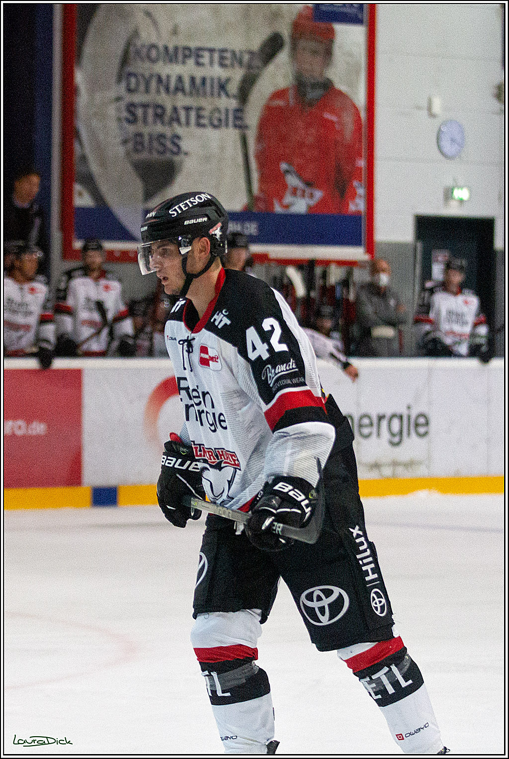 PENNY DEL;  Koelner Haie - Aalborg Pirates; Koeln, 21.08.2021